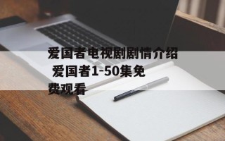 爱国者电视剧剧情介绍 爱国者1-50集免费观看
