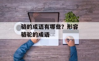骆的成语有哪些？形容骆驼的成语