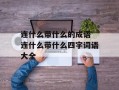 连什么带什么的成语 连什么带什么四字词语大全
