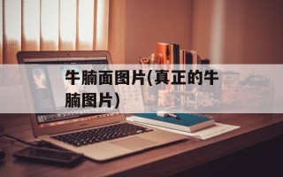 牛腩面图片(真正的牛腩图片)