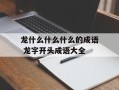 龙什么什么什么的成语 龙字开头成语大全