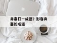 鼻塞打一成语？形容鼻塞的成语