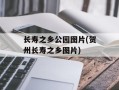 长寿之乡公园图片(贺州长寿之乡图片)
