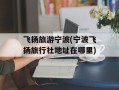 飞扬旅游宁波(宁波飞扬旅行社地址在哪里)