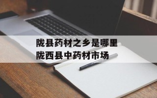 陇县药材之乡是哪里 陇西县中药材市场