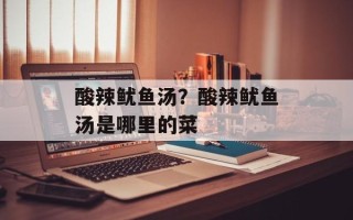酸辣鱿鱼汤？酸辣鱿鱼汤是哪里的菜