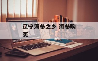辽宁海参之乡 海参购买