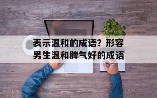 表示温和的成语？形容男生温和脾气好的成语