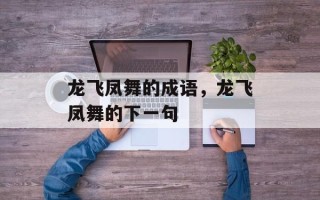 龙飞凤舞的成语，龙飞凤舞的下一句