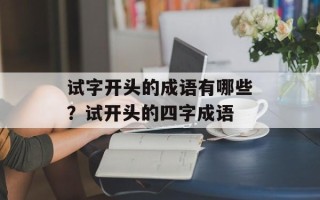 试字开头的成语有哪些？试开头的四字成语
