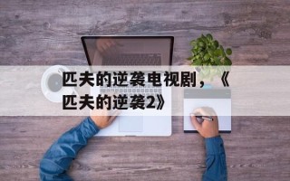 匹夫的逆袭电视剧，《匹夫的逆袭2》