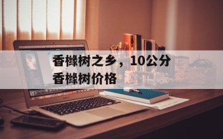 香橼树之乡，10公分香橼树价格