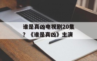 谁是真凶电视剧20集？《谁是真凶》主演