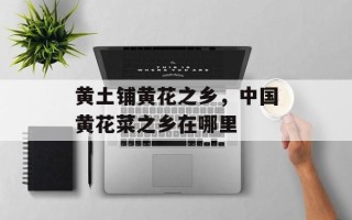 黄土铺黄花之乡，中国黄花菜之乡在哪里