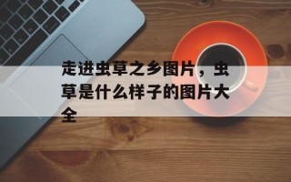 走进虫草之乡图片，虫草是什么样子的图片大全