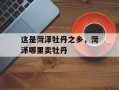 这是菏泽牡丹之乡，菏泽哪里卖牡丹