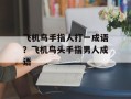 飞机鸟手指人打一成语？飞机鸟头手指男人成语