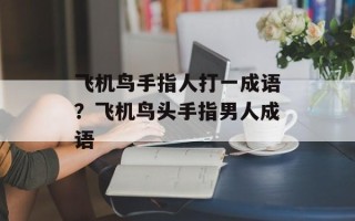 飞机鸟手指人打一成语？飞机鸟头手指男人成语
