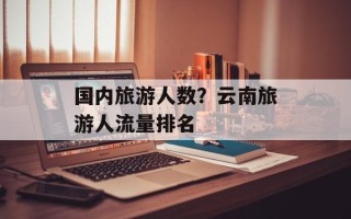 国内旅游人数？云南旅游人流量排名