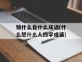 镇什么自什么成语(什么怒什么人四字成语)