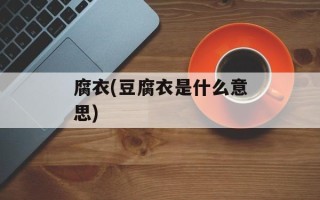腐衣(豆腐衣是什么意思)