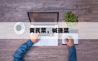 黄芪菜，碱蓬菜