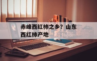 赤峰西红柿之乡？山东西红柿产地