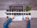 蚌埠是什么植物之乡？蚌埠市植物园在什么地方