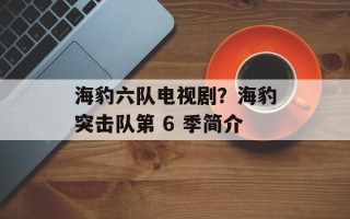 海豹六队电视剧？海豹突击队第 6 季简介