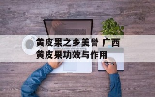 黄皮果之乡美誉 广西黄皮果功效与作用