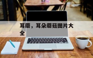 耳蘑，耳朵蘑菇图片大全