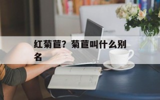 红菊苣？菊苣叫什么别名