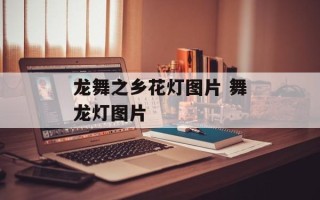 龙舞之乡花灯图片 舞龙灯图片