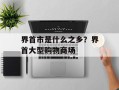 界首市是什么之乡？界首大型购物商场