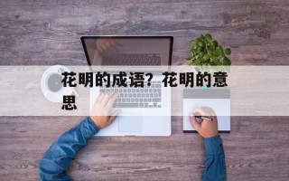 花明的成语？花明的意思