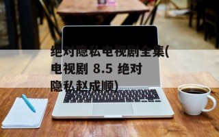 绝对隐私电视剧全集(电视剧 8.5 绝对隐私赵成顺)