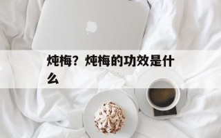 炖梅？炖梅的功效是什么