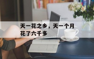天一花之乡，天一个月花了六千多