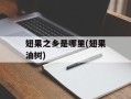 翅果之乡是哪里(翅果油树)