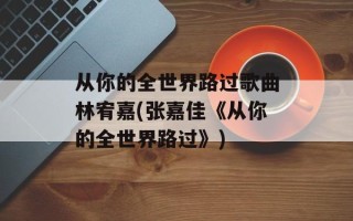 从你的全世界路过歌曲林宥嘉(张嘉佳《从你的全世界路过》)