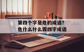 第四个字是危的成语？危什么什么露四字成语