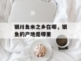 银川鱼米之乡在哪，银鱼的产地是哪里