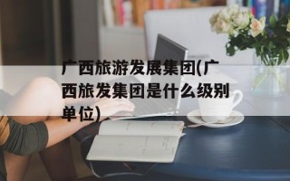 广西旅游发展集团(广西旅发集团是什么级别单位)