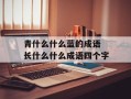 青什么什么蓝的成语 长什么什么成语四个字