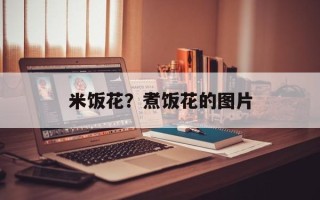 米饭花？煮饭花的图片