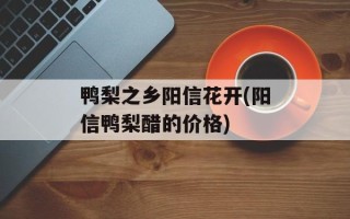 鸭梨之乡阳信花开(阳信鸭梨醋的价格)