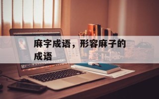 麻字成语，形容麻子的成语