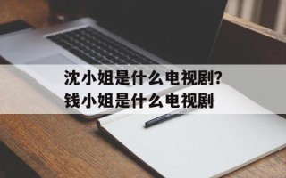 沈小姐是什么电视剧？钱小姐是什么电视剧