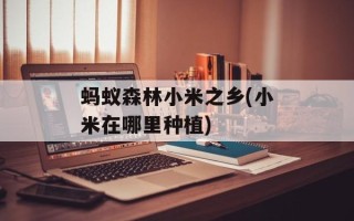 蚂蚁森林小米之乡(小米在哪里种植)