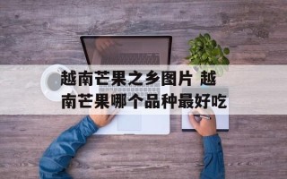 越南芒果之乡图片 越南芒果哪个品种最好吃